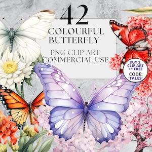 42 Clipart papillon coloré, dessins PNG, Clipart de conte de fées, aquarelle, téléchargement immédiat, utilisation commerciale complète