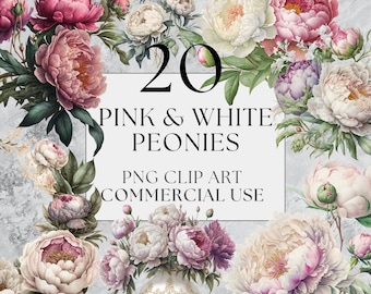 Pink Peony Clipart White Peony Clipart Peony Floral Clipart Flower Clipart Full Commercial Use Watercolor Floral Clipart Instant Download