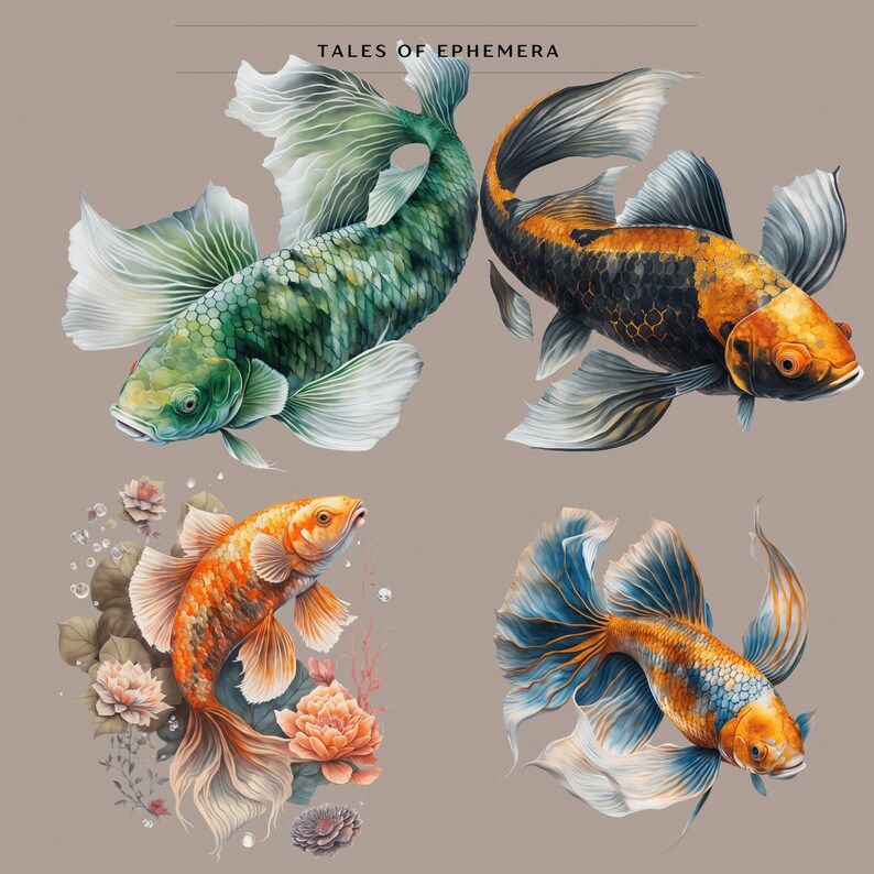 Op de afbeelding: Vier aquarellen van vissen. De vis linksboven is groen en wit met een zwart oog. De vis rechtsboven is zwart, oranje en wit met een zwart oog. De vis linksonder is oranje en wit met een zwart oog. De vis rechtsonder is blauw, oranje en wit met een zwart oog.