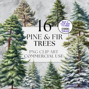 Clipart di pino e abete, PNG, uso commerciale completo, clipart accogliente di alberi della foresta di Natale, con download istantaneo, boschi di alberi invernali botanici