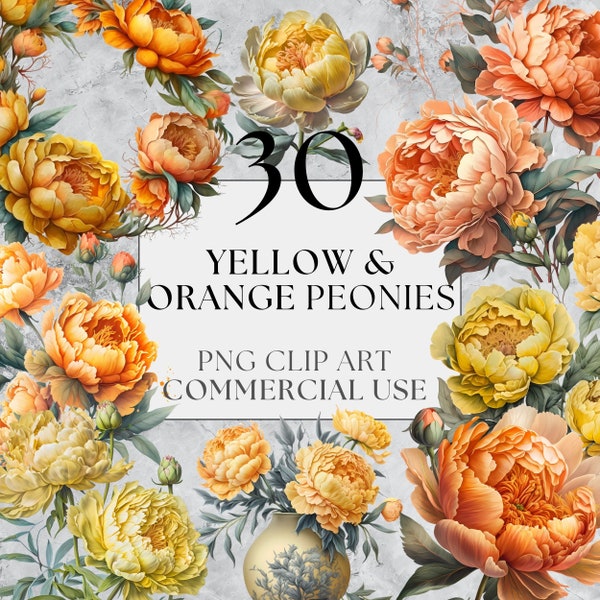 30 jaune & Orange pivoines Clipart, PNG, utilisation commerciale complète, aquarelle Floral pivoine Clipart avec téléchargement immédiat, Home Deco botanique PNG