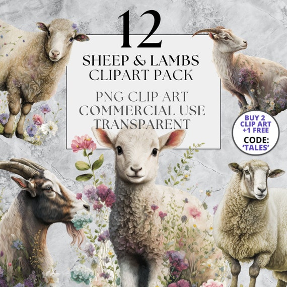 12 Sheep & Lamb Clipart Pack in Transparent PNG, Full Commercial Use, Instant Download with Floral and Standalone Options