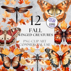 12 Fall Winged Creatures Clipart Pack - Transparent PNG, Full Commercial Use, Instant Download, Moths, Dragonflies, Butterflies, Autumn Art