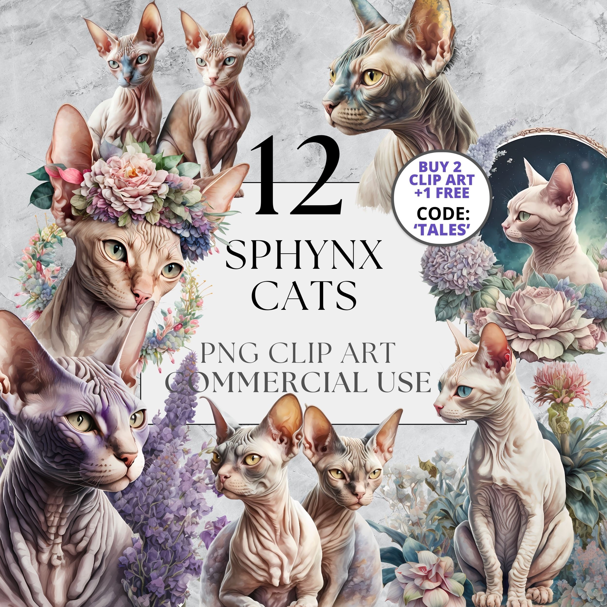 Sphynx Cat Clipart Pack Floral Cat Clipart Full Commercial Use, Instant ...