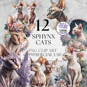 Sphynx Cat Clipart Pack Floral Cat Clipart Full Commercial Use, Instant Download with Floral and Standalone Options, Cats Portrait Art