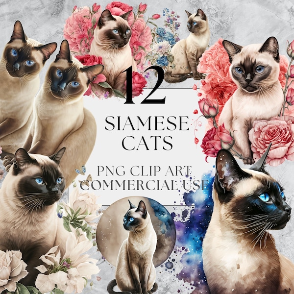 12 Siamese Cat Clipart Pack in Transparent PNG, Full Commercial Use, Instant Download with Floral and Standalone Options, Cats Portrait Art