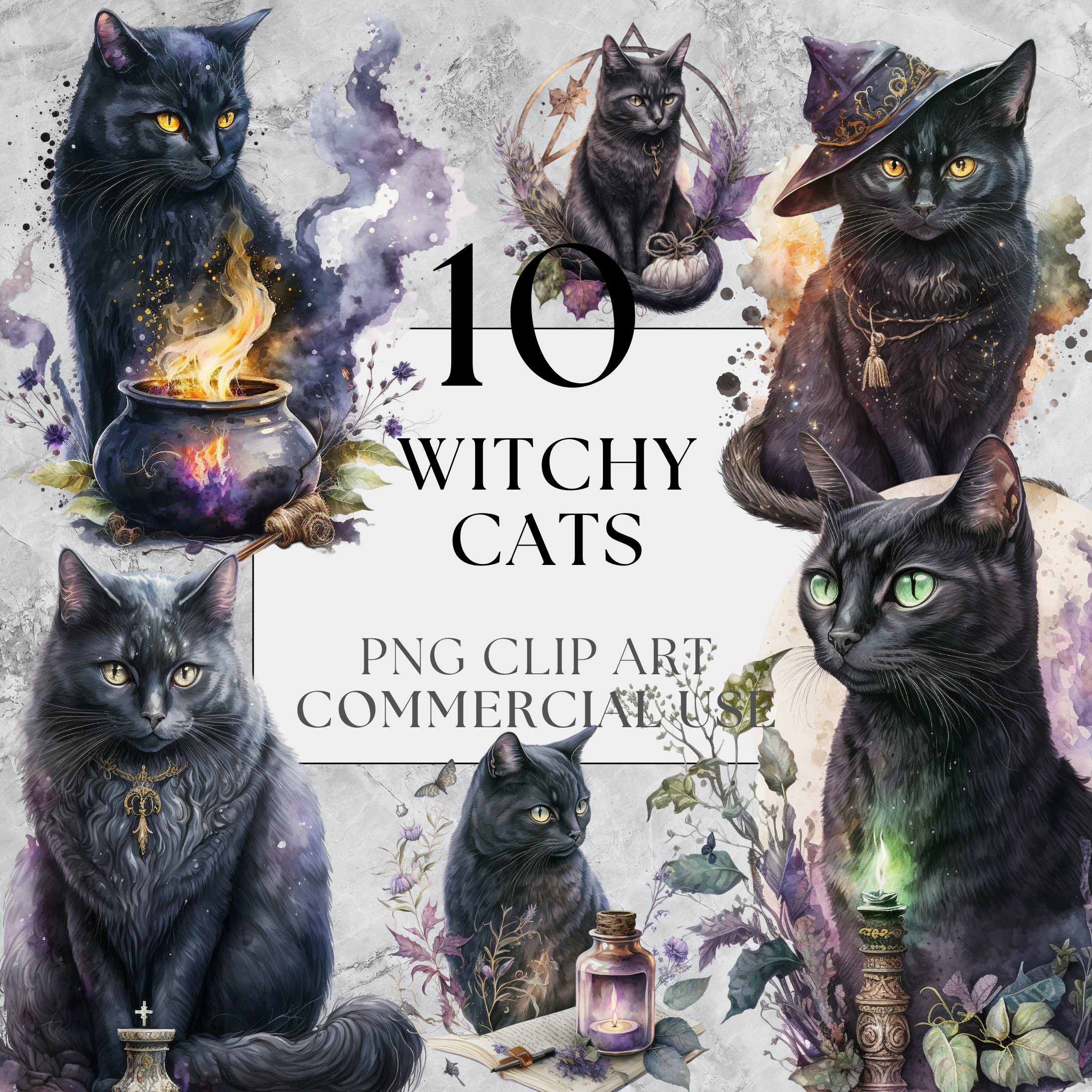 10 Witchy Cats Clipart Fairytale Clipart Fantasy Witchy - Etsy