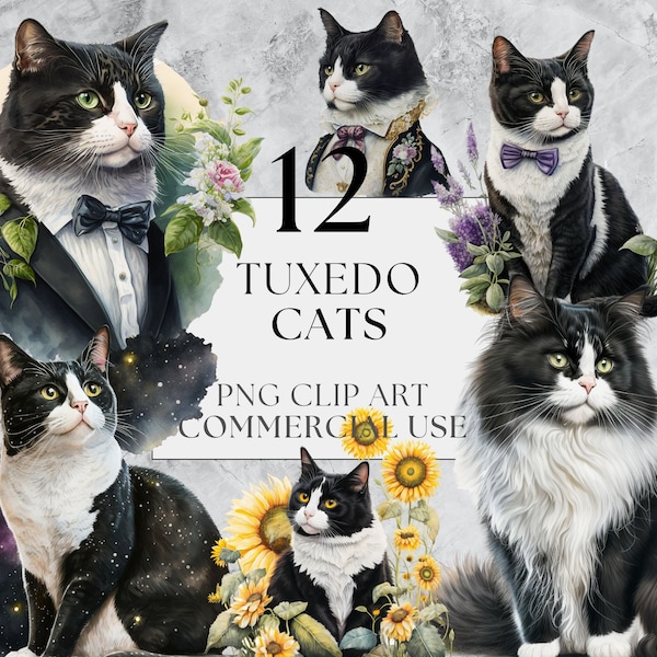Tuxedo Cat Clipart Pack in Transparent PNG, Full Commercial Use, Instant Download with Floral, Standalone and Starry Accents