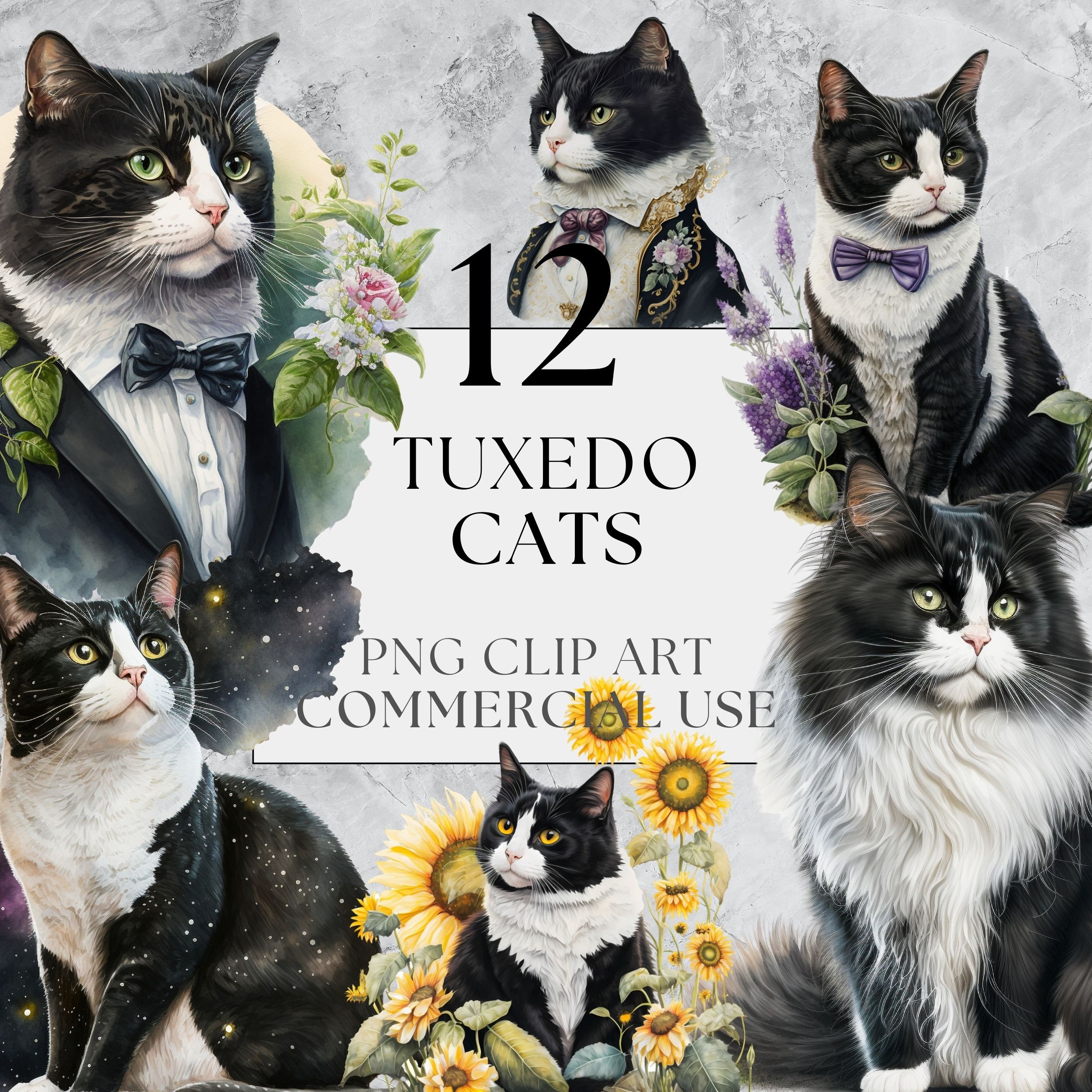 Tuxedo Cat Clip Art