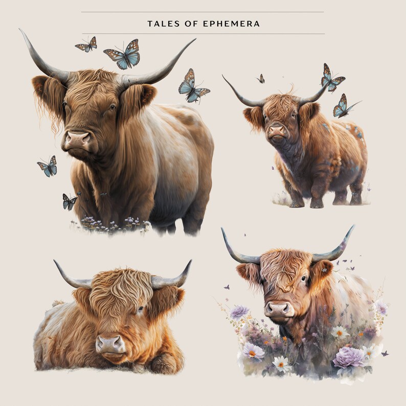 12 Highland Cow Clipart Pack in Transparent PNG Full - Etsy Canada