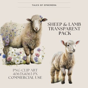 May include: A digital illustration of a white sheep and a white lamb standing in a field of flowers. The sheep and lamb are both looking at the viewer. The image is labeled "SHEEP & LAMB TRANSPARENT PACK" and "PNG CLIP ART 4063X4063 PX COMMERCIAL USE".