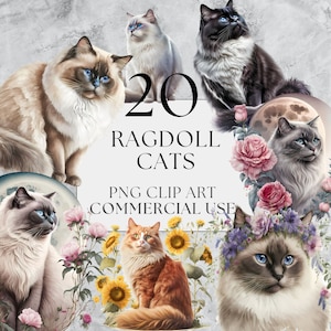 Ragdoll Cat Clipart Ragdoll Cat PNG Floral Cat Clipart Ragdoll Cat Design Full Commercial Use Instant Download Floral Pet Clipart