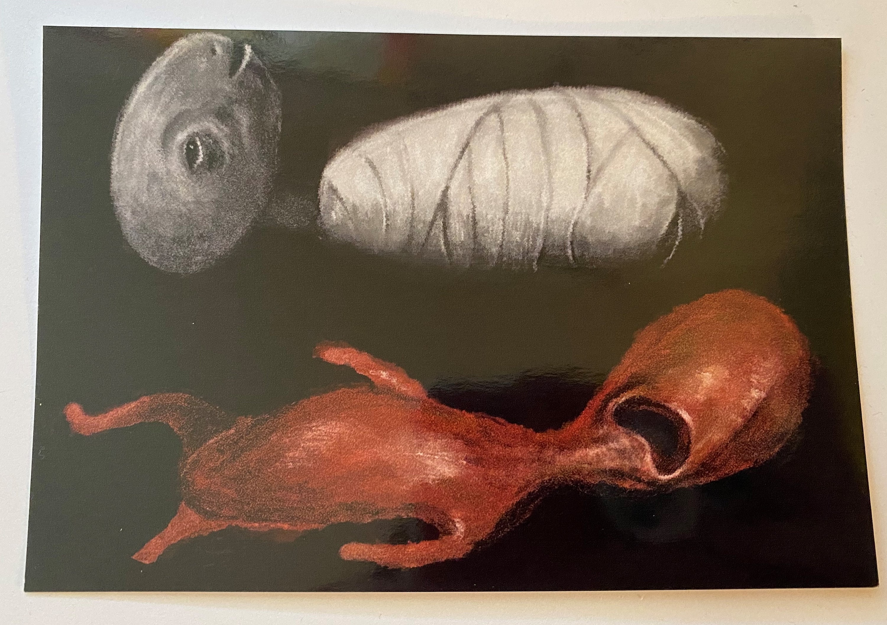 Sink Baby and Eraserhead Baby Combo Print Etsy