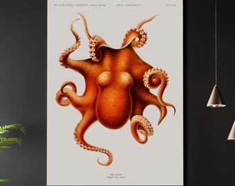 Giant Octopus A3 A4 Fine Art Print. Vintage Natural World Illustration. Victorian Classic Home Decor. Gothic Cephalopod Picture Drawing