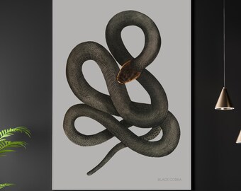 Black Cobra A3 A4 Fine Art Print. Vintage Natural World Illustration. Victorian Classic Home Decor. Gothic Snake Poster Deftones Serpent