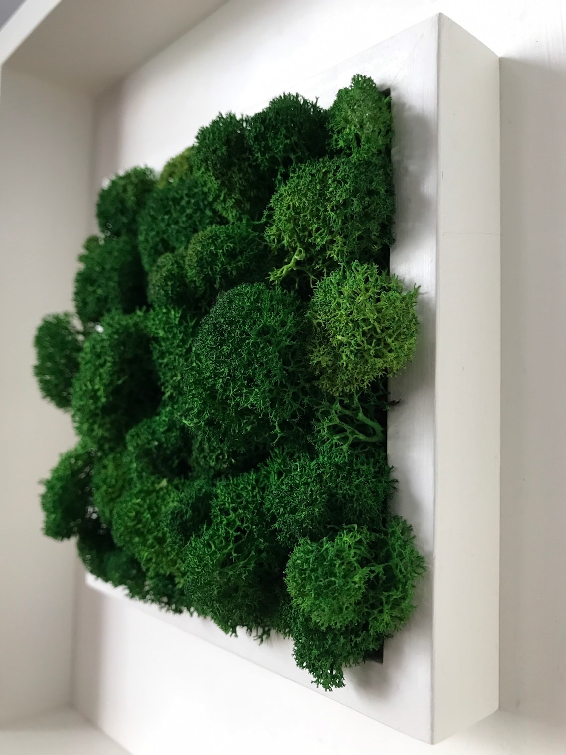 Small HandMade Moss Frame Living Wall Wall Art Natural Etsy