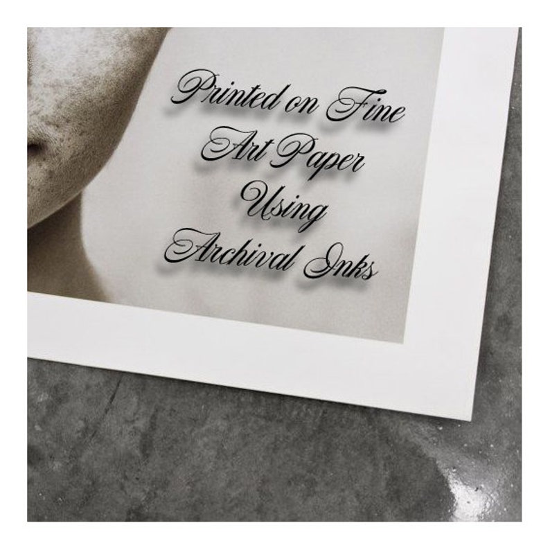 Pu&ograve; includere: Primo piano di un passepartout bianco con il testo "Printed on Fine Art Paper Using Archival Inks" in corsivo nero.