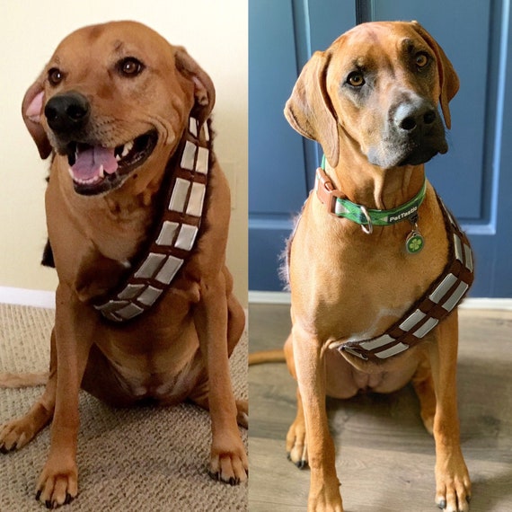 chewbacca dog belt