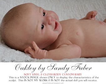 Special Offer ~ Newborn Illusions Reborn Oakley By Sandy Faber  (17"+Full Limbs)
