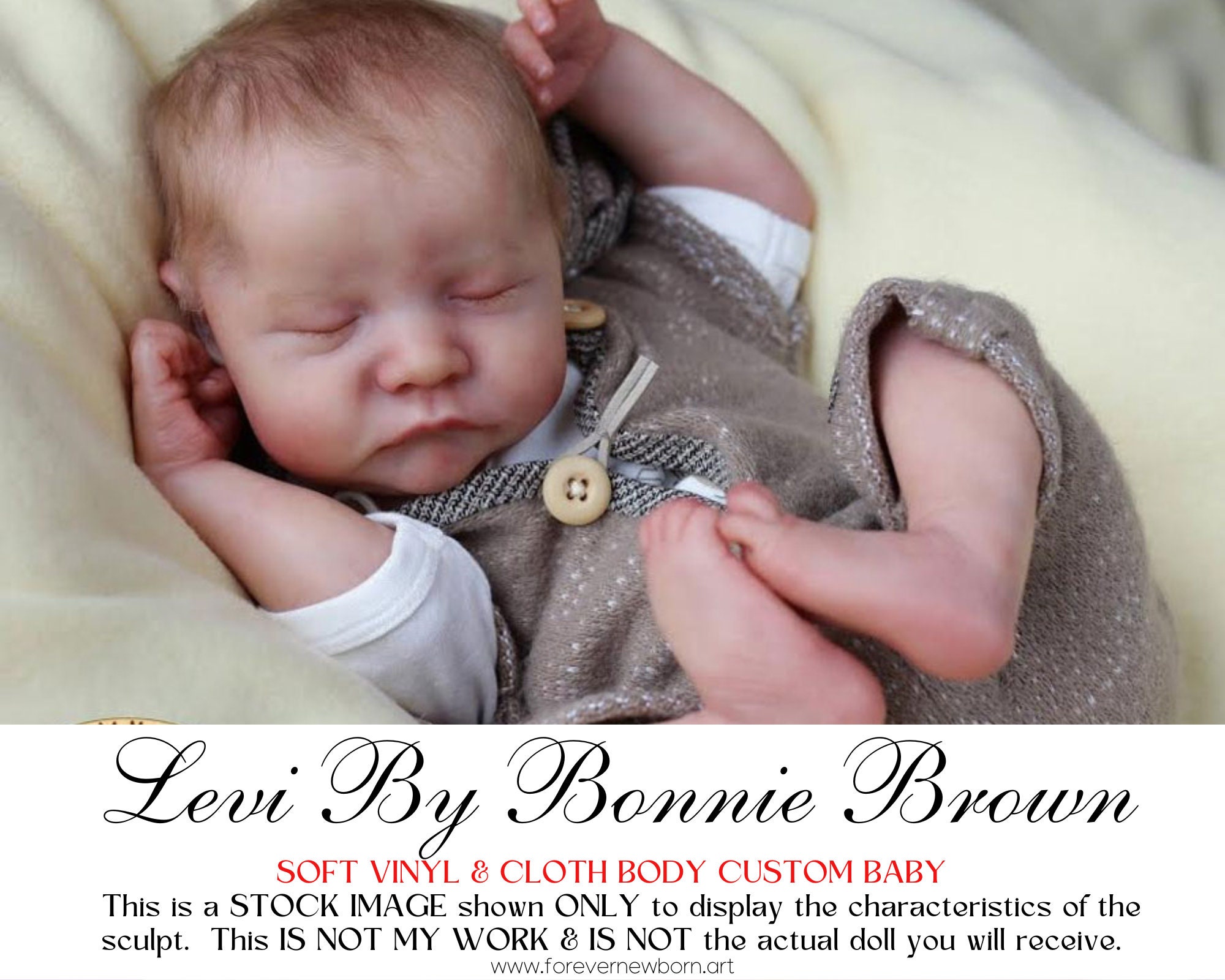 Levi by Bonnie Brown