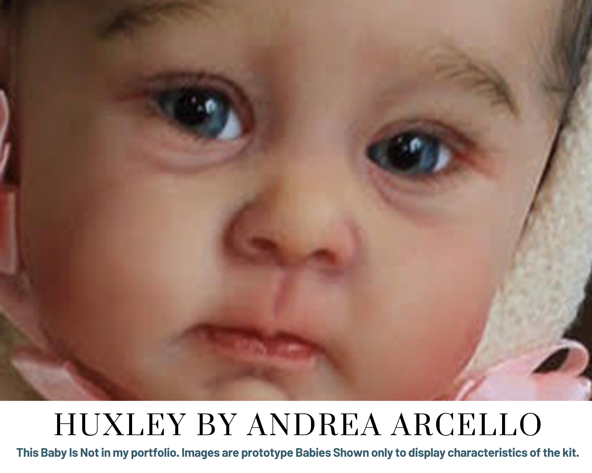 Custom Reborn Baby Huxley by Andrea Arcello Reborn Doll Etsy Singapore