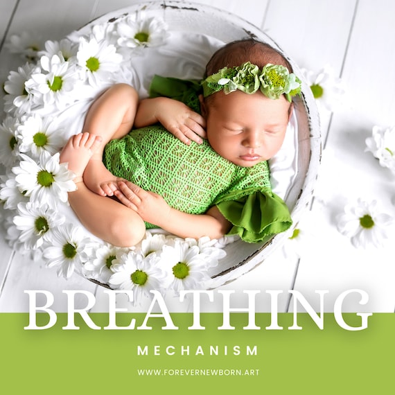 Reborn Baby Add A Breathing Mechanism To Your Reborn Must Be Purchased WITH A Custom Doll Upgrade Items. Add On Item