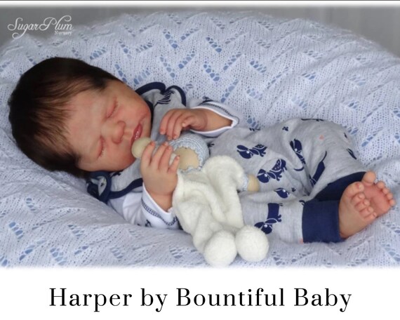 harper boy reborn