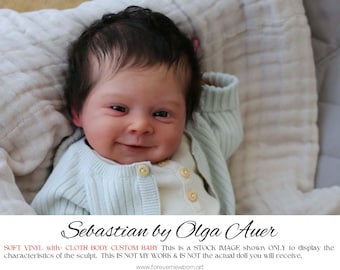 Special Offer ~ Newborn Illusions Reborn Sebastian by Olga Auer (20"+Full Limbs)