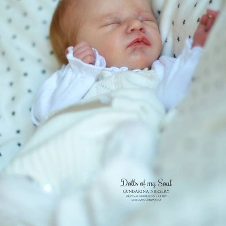 charlotte by laura lee eagles