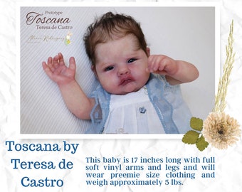 Special Offer ~ Newborn Illusions Reborn Tuscany by Teresa de Castro (17"+Full Limbs)