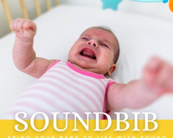 Reborn Sound Box Deluxe SoundBib (One Bib, Two Accessories)  Read Item Details