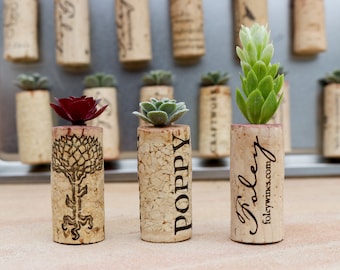 Faux Succulent Cork Magnets