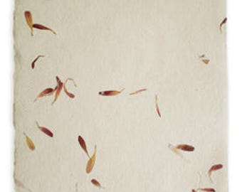 Handmade Printable Ivory with Aster flower Petals Decorative floral recycled Paper ,Deckled natural edges. 90 GSM