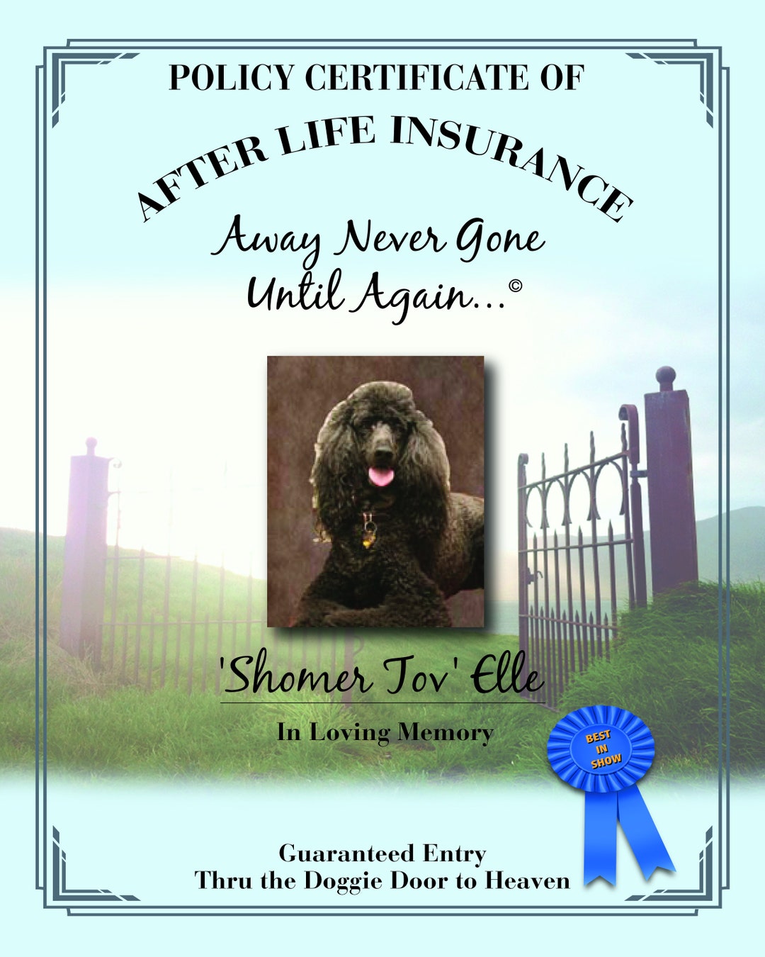 Personalized Pet Memorial Keepsake, After Life Insurance Certificate for Your Dog or Cat, Away