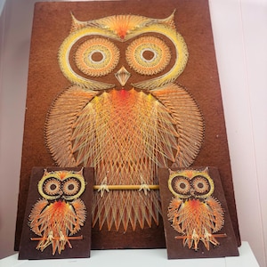 Vtg 3 Piece Owl String Art Set, 3D Folk Art Boho