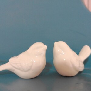 May include: Two glossy white ceramic bird figurines. The birds are facing each other, with detailed wings and tail feathers. The figurines are set against a blue background, creating a simple, elegant display.