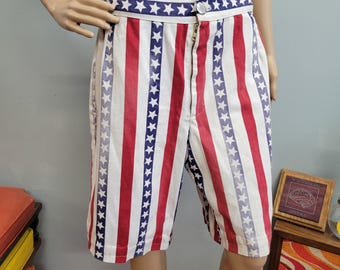 Vintage 70s American Flag Denim Shorts: Bicentennial Patriotic