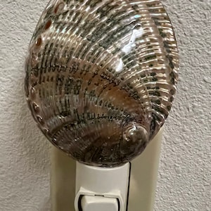 May include: A decorative night light featuring an abalone shell design. The shell has a pearlescent, iridescent surface with brown, green, and white hues. The night light plugs into a standard electrical outlet.