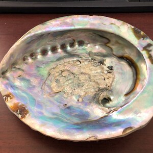 X-LARGE ABALONE Shell Smudge Kit Spiritual Cleansing