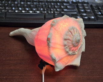 LARGE Natural Brown Striped Whelk Sea Shell Nautical Lamp Nightlight