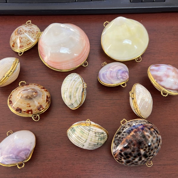 Shell Coin Purse Etsy