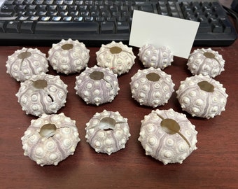 12 Pcs Purple Sputnik Urchin Place Card Holders Wedding Events 2"