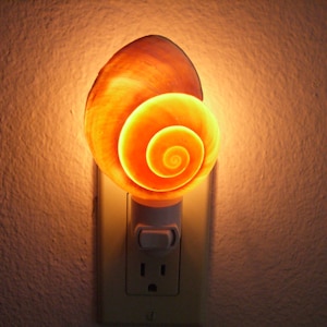 Brown Snail Sea SHELL Nautical Beach Decor NIGHTLIGHT
