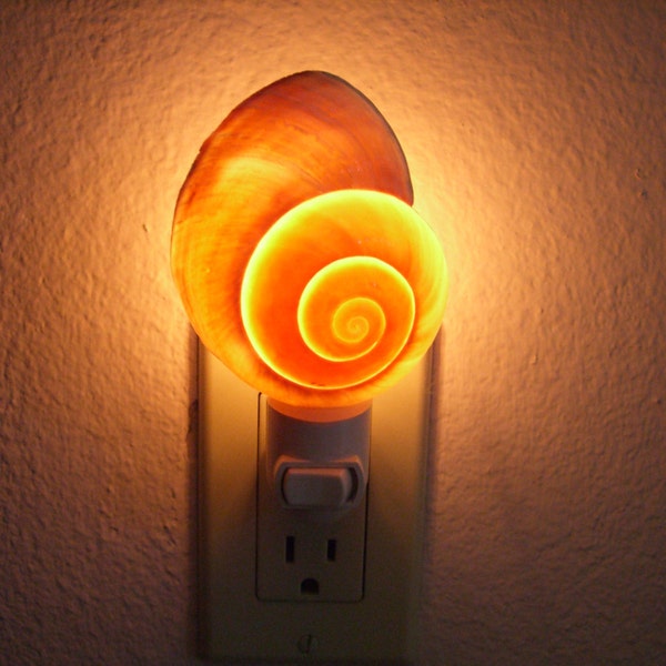 Brown Snail Sea SHELL Nautical Beach Decor NIGHTLIGHT S7-345