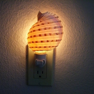 May include: A seashell night light plugged into an electrical outlet. The shell is a light brown color with darker brown stripes. The light is on and illuminating the shell.