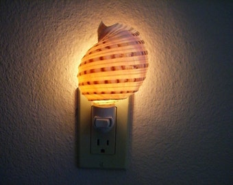 Brown Spotted Banded Tun Sea SHELL Nautical Beach Decor NIGHTLIGHT