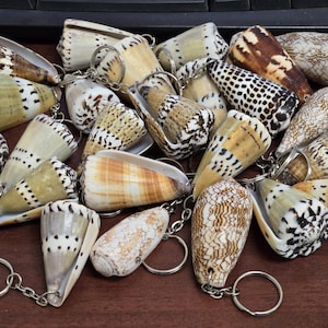 May include: A collection of seashell keychains. The shells vary in size, shape, and color, with patterns of brown, tan, and white. Each shell is attached to a silver-colored keychain ring and chain. The keychains are scattered on a brown surface.