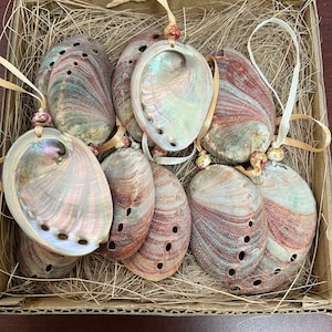 Hanging Sea Shell Cluster for Wall Decoration l Buy Décor in UK