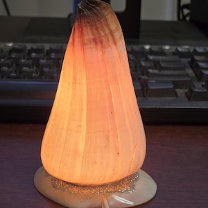 Cone Conus Sea SHELL Nautical Beach Decor NIGHTLIGHT LAMP