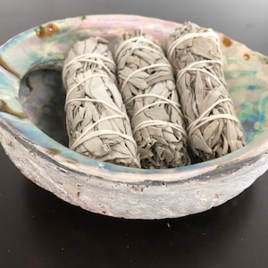 May include: Three bundles of white sage smudge sticks in a white abalone shell. The shell has iridescent colors.